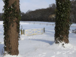 Gravenallee
